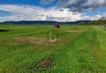 456376-Vorschaubild4