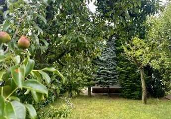 457016-Vorschaubild2