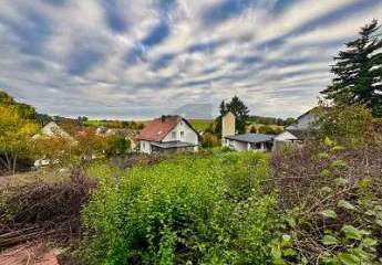 AUF EINER ANHÖHE MIT WALDBLICK