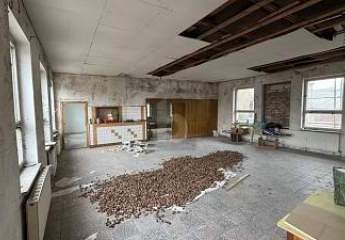 456894-Vorschaubild2