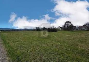 456901-Vorschaubild4