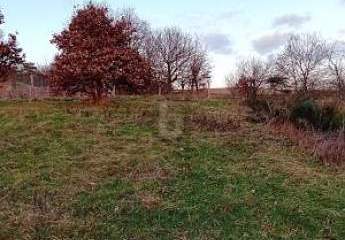 456902-Vorschaubild2