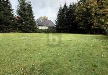 456461-Vorschaubild4