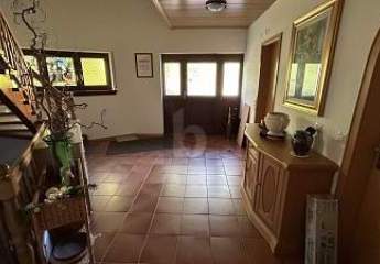 453693-Vorschaubild3