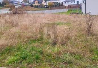 456831-Vorschaubild3