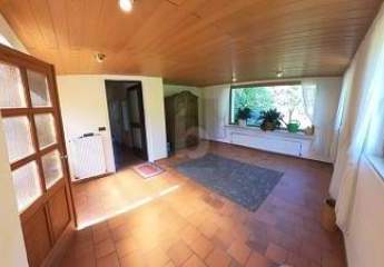 456841-Vorschaubild3