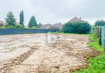 456886-Vorschaubild3