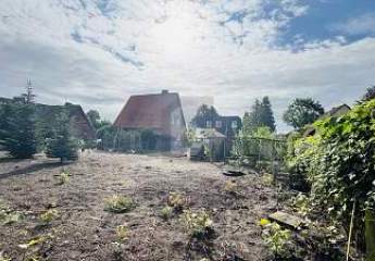 456905-Vorschaubild4