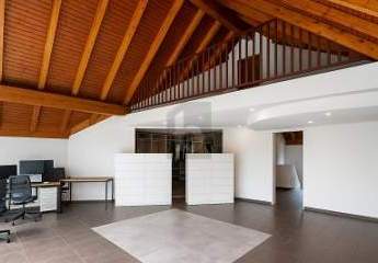 455741-Vorschaubild3