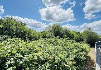 458028-Vorschaubild4