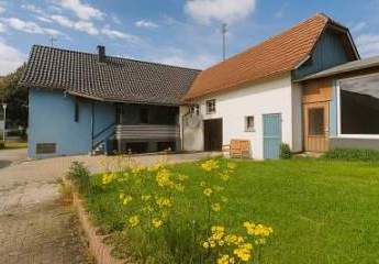 456447-Vorschaubild2