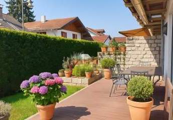 453493-Vorschaubild3