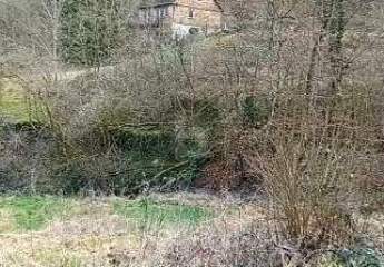 TRAUMHAFTE BAUMÖGLICHKEIT