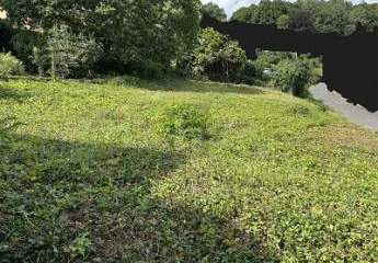 456402-Vorschaubild3