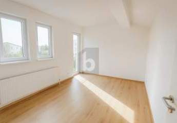 457213-Vorschaubild3