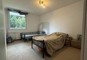 456102-Vorschaubild2