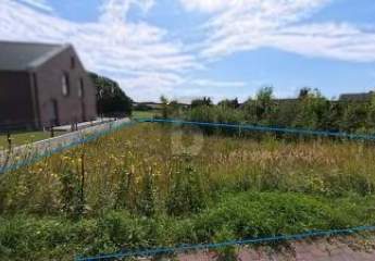 456120-Vorschaubild4