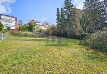 455739-Vorschaubild2