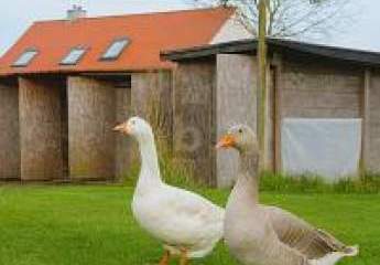 458249-Vorschaubild2