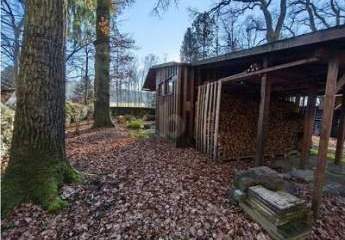 453830-Vorschaubild4