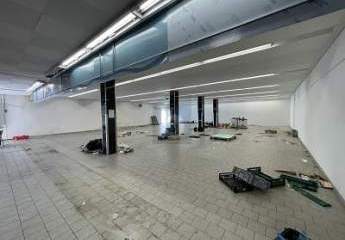 454351-Vorschaubild3