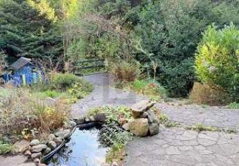 453316-Vorschaubild2