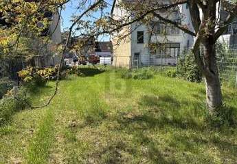 458534-Vorschaubild3