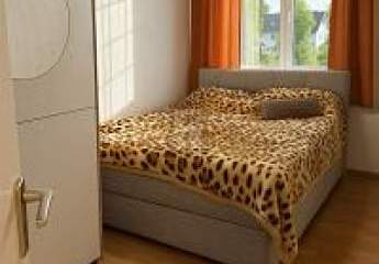 458546-Vorschaubild3