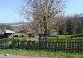 458580-Vorschaubild3