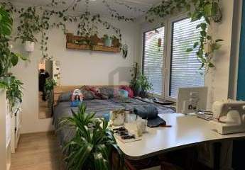 457333-Vorschaubild3