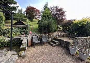 458047-Vorschaubild2