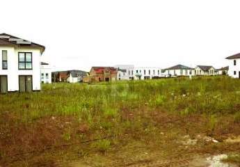 458576-Vorschaubild2