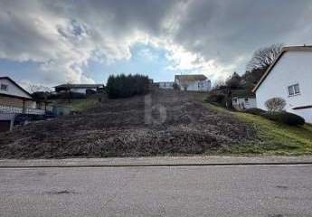 TOP LAGE, VIELE BAUMÖGLICHKEITEN, 765M²