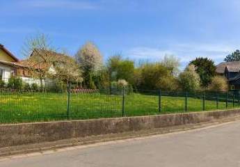 458729-Vorschaubild2