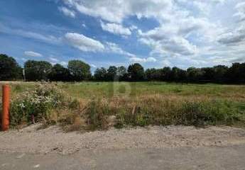 458056-Vorschaubild2