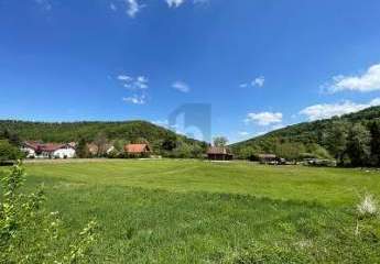 458745-Vorschaubild4