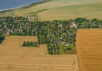 458951-Vorschaubild3