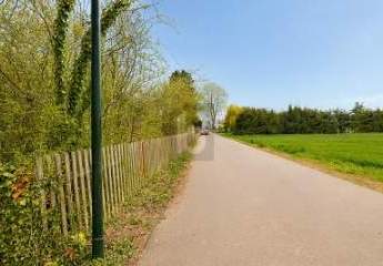 458951-Vorschaubild4