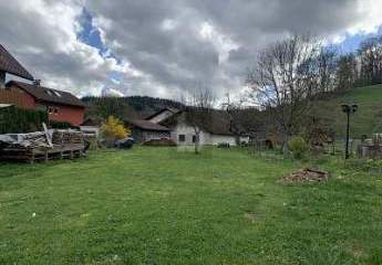 458993-Vorschaubild3