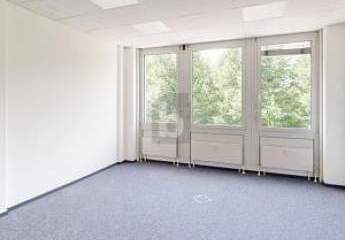 456913-Vorschaubild2