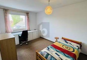 457009-Vorschaubild3