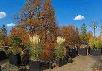 457288-Vorschaubild2