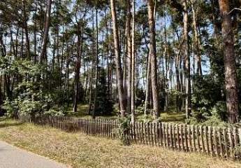 RUHIGE WOHNLAGE NAHE DER ELBE