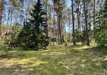 458933-Vorschaubild2