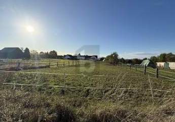 459538-Vorschaubild2