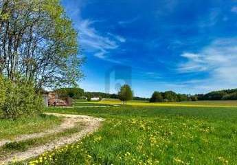 LASSEN SIE IHRER KREATIVITÄT FREIEN LAUF