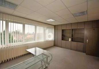 459893-Vorschaubild4