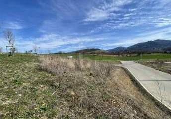 459955-Vorschaubild2