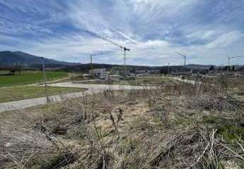 459955-Vorschaubild4