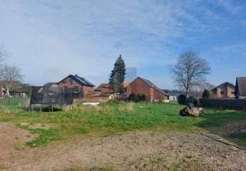 459956-Vorschaubild4